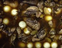 葷菜 - 雞塊滷雞蛋