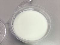 超簡單新手無糖奶酪