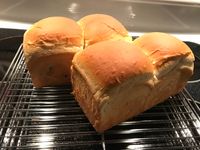 葡萄牛奶吐司麵包