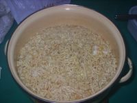 康寶鮮味炒手鰹魚風味+泡麵