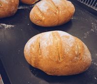 黑糖牛奶哈士麵包