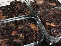 櫻花蝦芋頭紫米飯