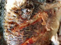 乾煎吳郭魚