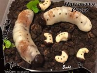 萬聖節之蟲蟲危機