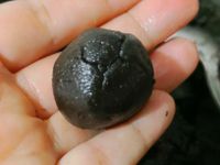 養生黑芝麻丸（素食可）