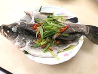 清蒸鱸魚🐟