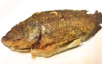 煎吳郭魚