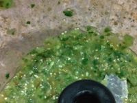 tomatillo salsa
