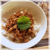 薑汁炒肉鬆 (露營OK)