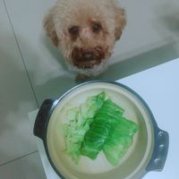 「寵物」高麗菜肉捲