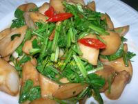 (素)香根炒杏鮑菇