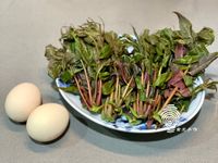 春季佳餚《香椿炒雞蛋》