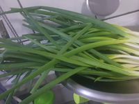 自製簡易蔥油餅