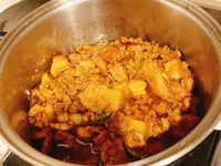 黃金粹魯