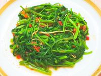 干貝XO醬炒空心菜