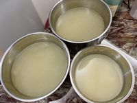 雞高湯(副食品也可)