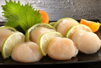 [上野物產] 日本生食級干貝