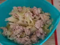 高麗菜紅洋蔥豬肉