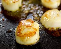 生煎干貝[尋鮮本舖-大寶の懶人廚房]