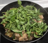 塔香炒雞肉（沒有麻油的三杯雞）