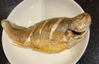 零廚藝系列：香煎黃魚