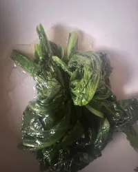 炒筒篙