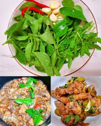 打拋雞肉
