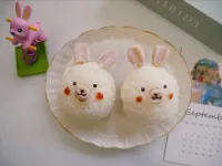 免模具「兔子飯糰」簡單小可愛。