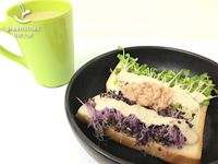 [綠藤芽食譜] 芽菜鮪魚沙拉土司
