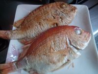 鹽燒赤宗【小心上癮】