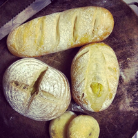 ｜Bread｜你好香！軟地瓜麵包 小帝王大人