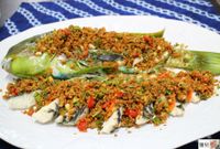 豆酥鸚哥麒麟魚【野生魚舖】