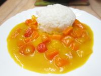 犬用‧黃金咖哩飯