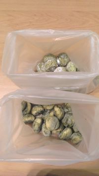 雪球餅乾 - 茶口味(兩種版本)