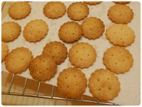 無蛋餅乾の香草奶香米餅乾