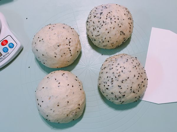 平均分割一個約520g左右