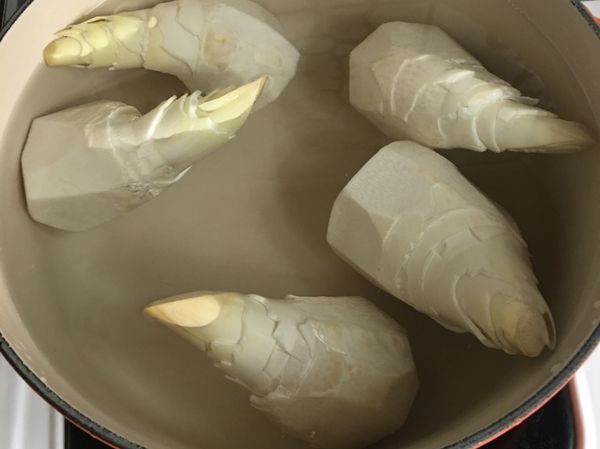 請竹筍小販幫你將竹筍皮去除，這樣就一定要當天將買來的綠竹筍煮過，不然竹筍的新鮮度跟甜味就會流失。如果沒有當天要煮可以保留殼，等要煮的時候再自行去殼及消除一些硬皮。