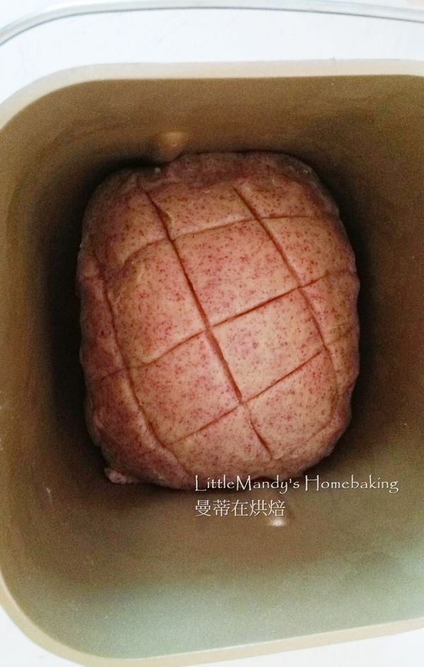 完成後放入鍋內，選擇24發酵功能一小時(天熱可不選發酵行程)，觀察到約八分滿即可進行烘烤(烘烤前可在表面塗點蛋黃液幫助上色)