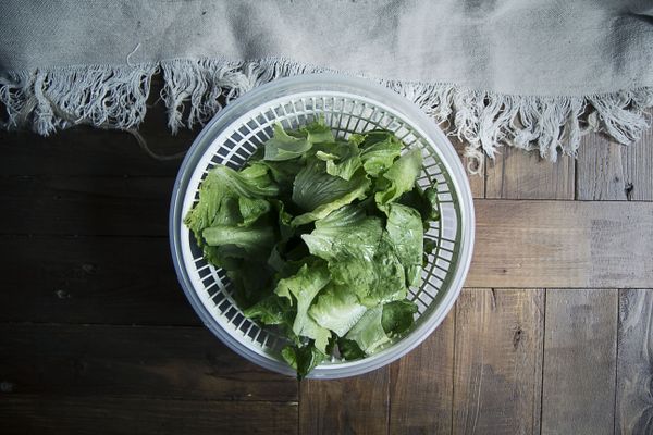 菜葉類邊洗淨邊以手撕成容易入口的大小，浸入冰塊水中約15 分鐘後甩瀝去水份，放入冰箱備用。