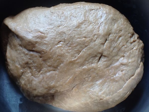 3.開始揉麵糰，將麵粉揉勻無粉粒，成糰後再加油揉光。