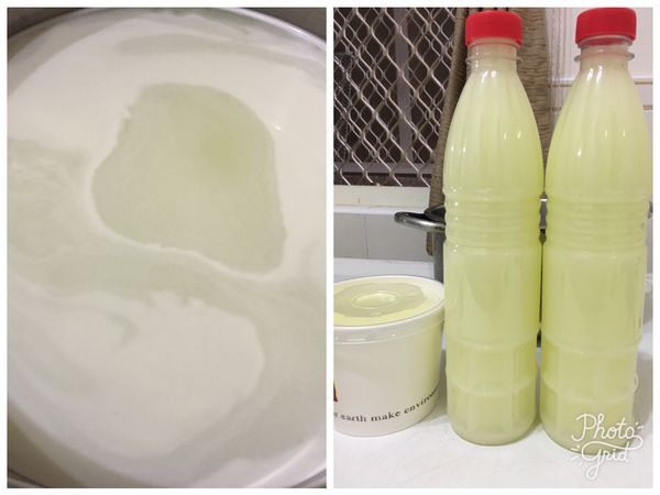 乳清別丟掉哦，加點糖混均後喝起來的味道像級了「養樂多」，味道就像加了檸檬的奶，酸酸甜甜的好好喝😋