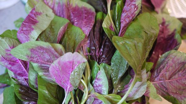 主角有機紅莧菜