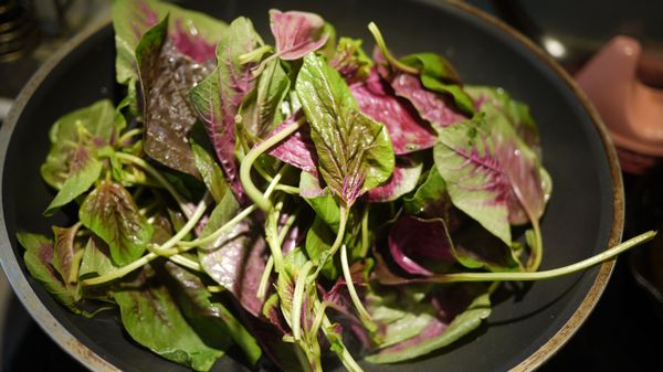 放入一大鍋的葉子，煮好，只剩三分之一