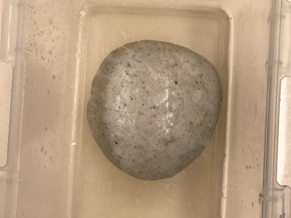 把材料丟進麵包機按32烏龍麵模式打成糰，取出放五分鐘滾成圓放入保鮮盒噴點水