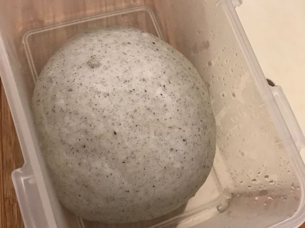 一小時後膨脹此時可以接續4步驟但是夜深了我要去睡就把他冰進冰箱冷藏也是可以的