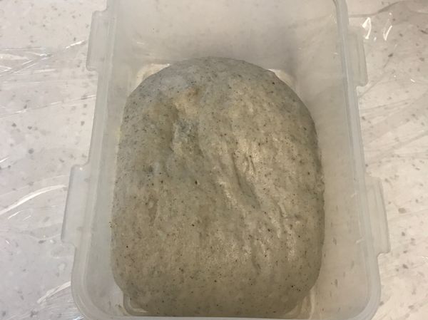 一夜後他變超大的，拿出來繼續整形工作