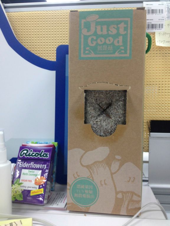 買一盒XX菇，開始慢慢養