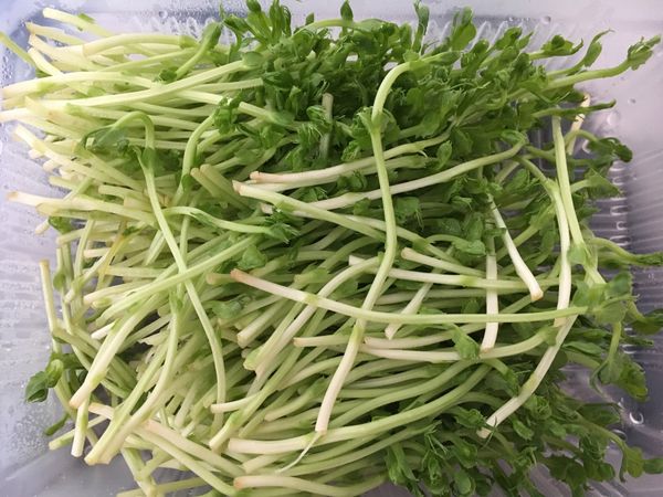 準備一盒豌豆苗⋯⋯