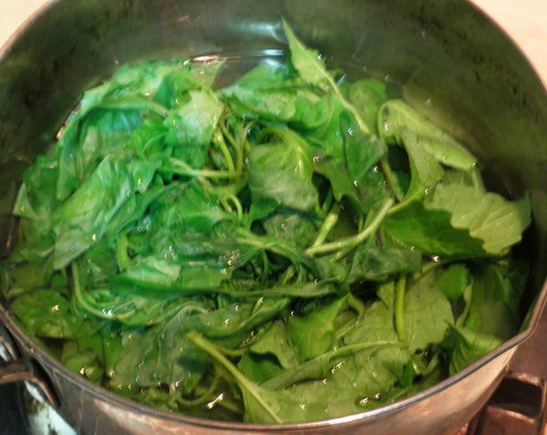 先煮開水燙過，去苦味，切細些。