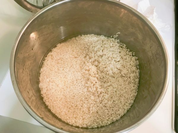 長糯米加入兩杯香菇水。